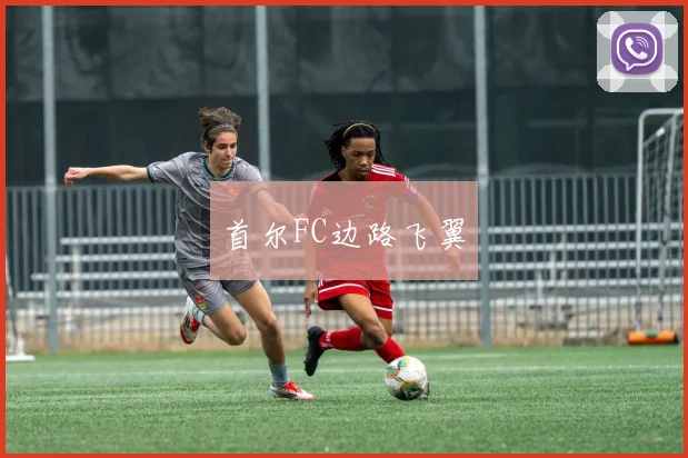 首尔FC边路飞翼