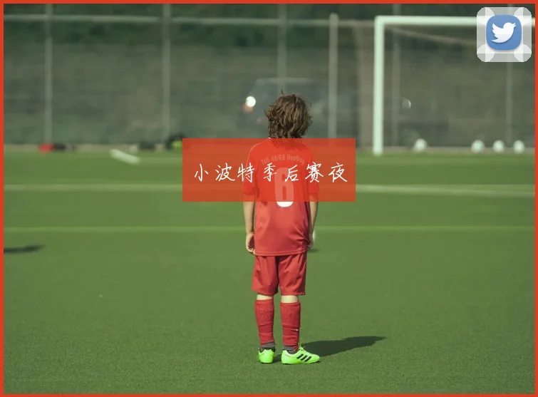 小波特季后赛夜