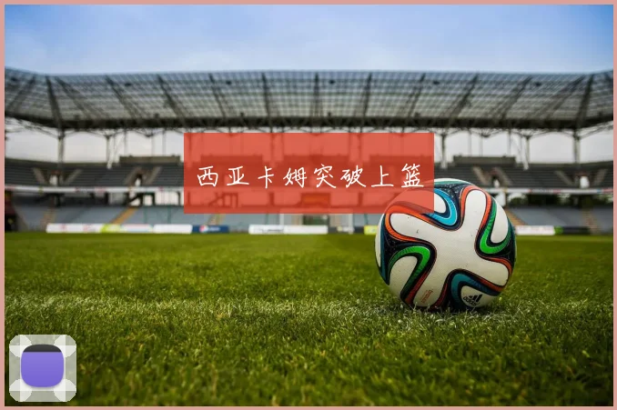 西亚卡姆突破上篮