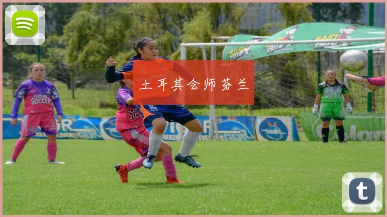 土耳其会师芬兰