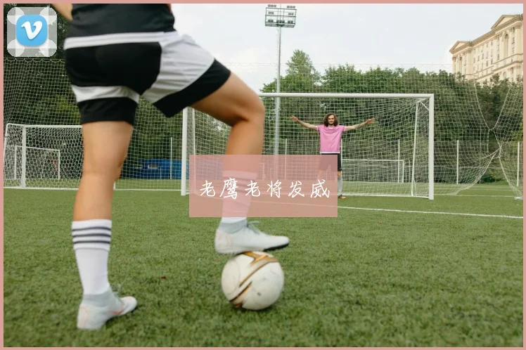 老鹰老将发威