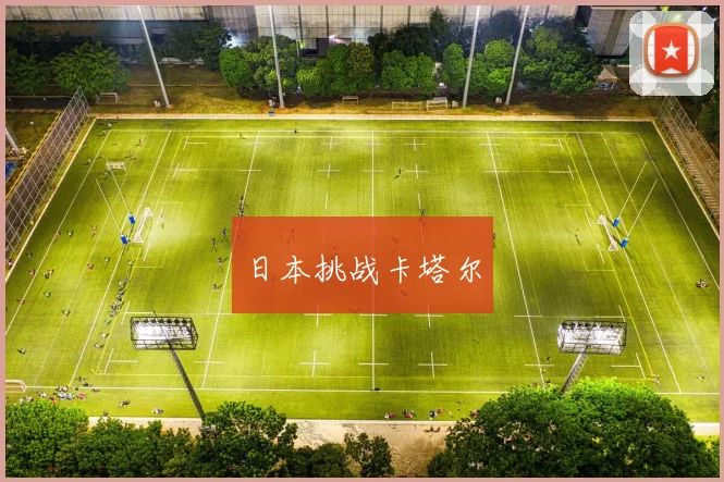 日本挑战卡塔尔
