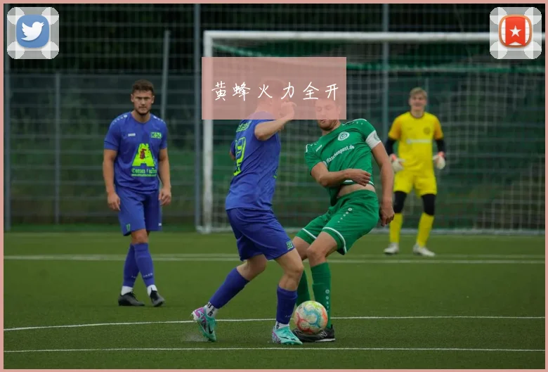 黄蜂火力全开