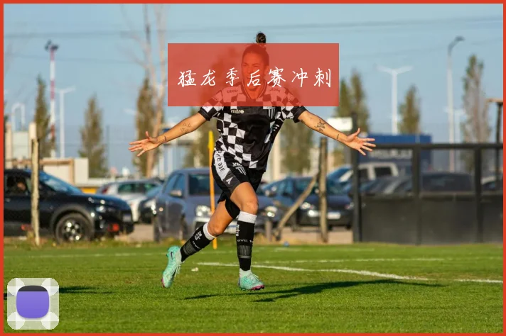 猛龙季后赛冲刺