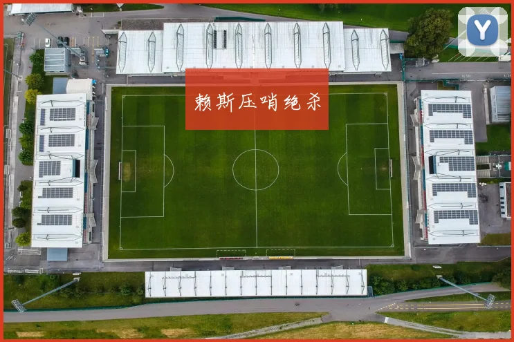 赖斯压哨绝杀