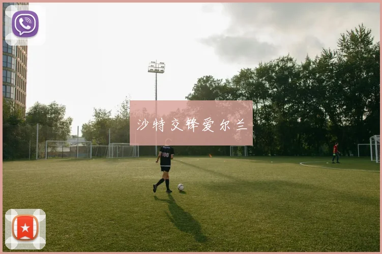 沙特交锋爱尔兰