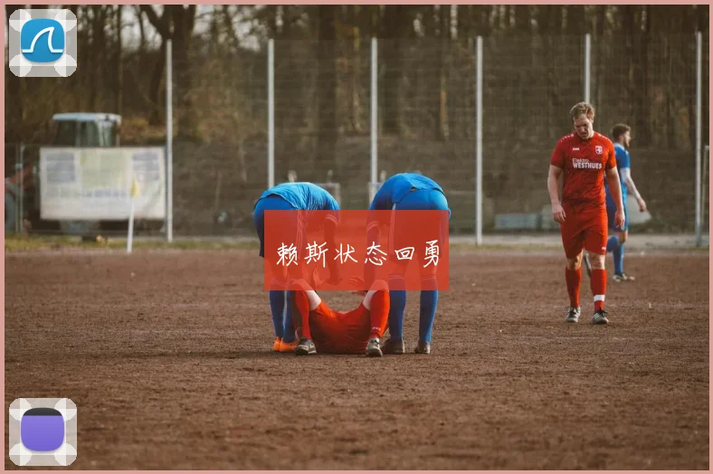 赖斯状态回勇