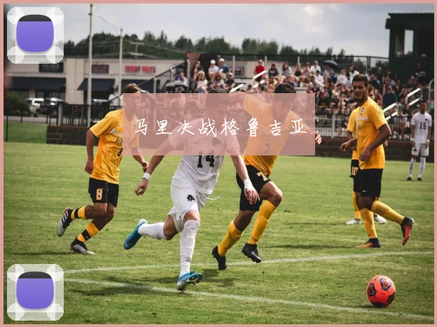 马里决战格鲁吉亚