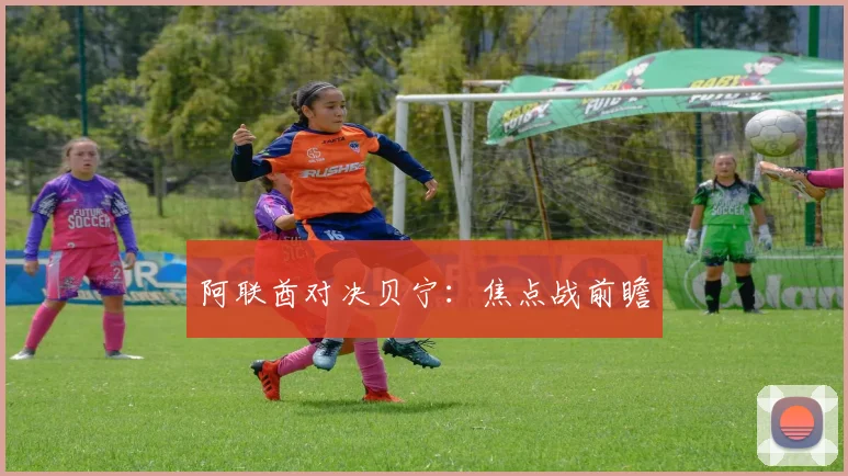 阿联酋对决贝宁：焦点战前瞻