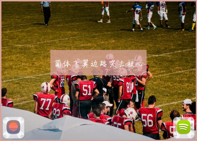 葡体飞翼边路突击核心