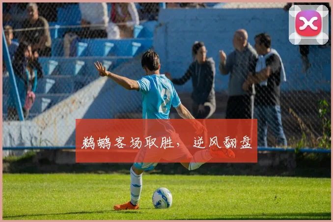 鹈鹕客场取胜，逆风翻盘