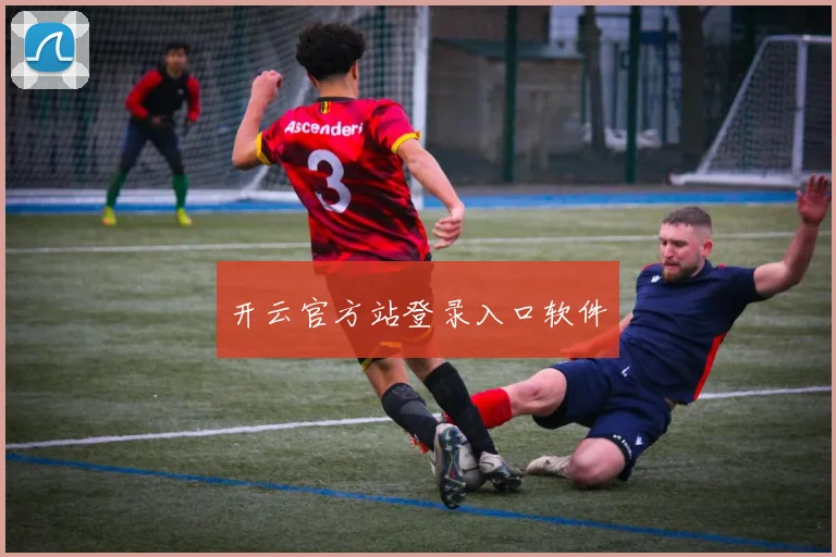 开云官方站登录入口软件