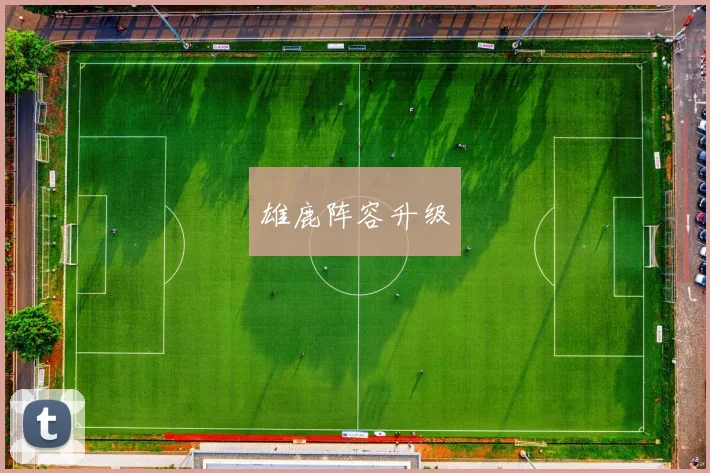 雄鹿阵容升级
