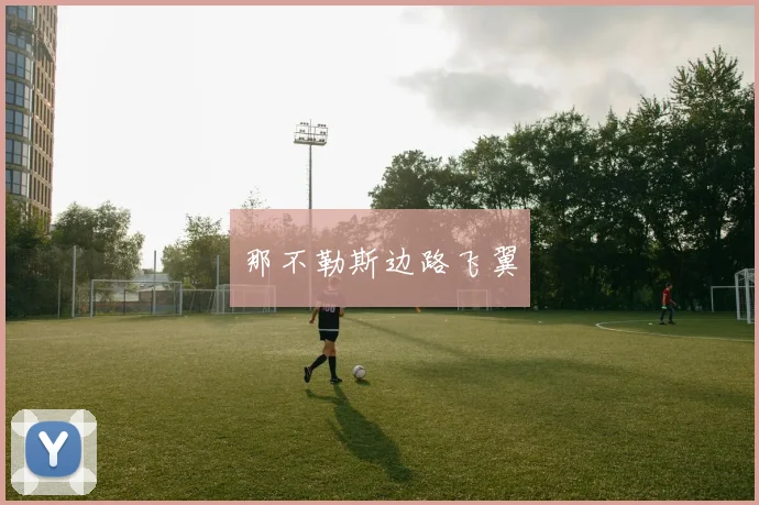 那不勒斯边路飞翼
