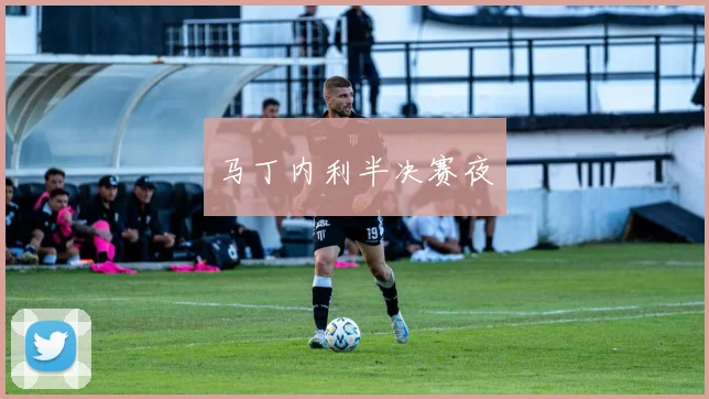马丁内利半决赛夜
