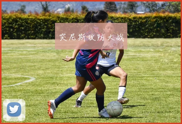 突尼斯攻防大战