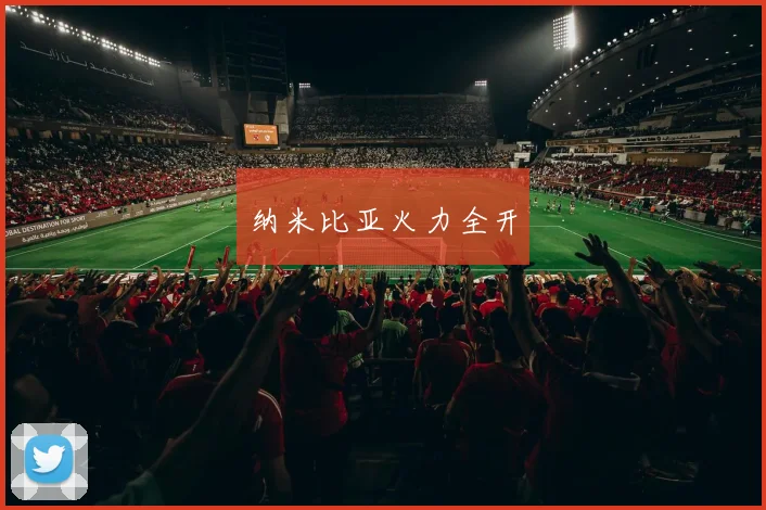 纳米比亚火力全开
