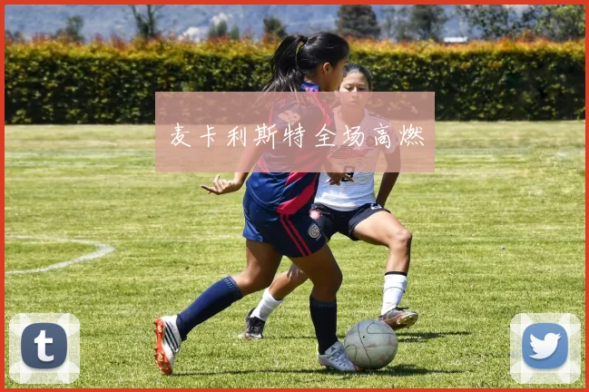 麦卡利斯特全场高燃