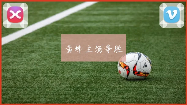 黄蜂主场争胜
