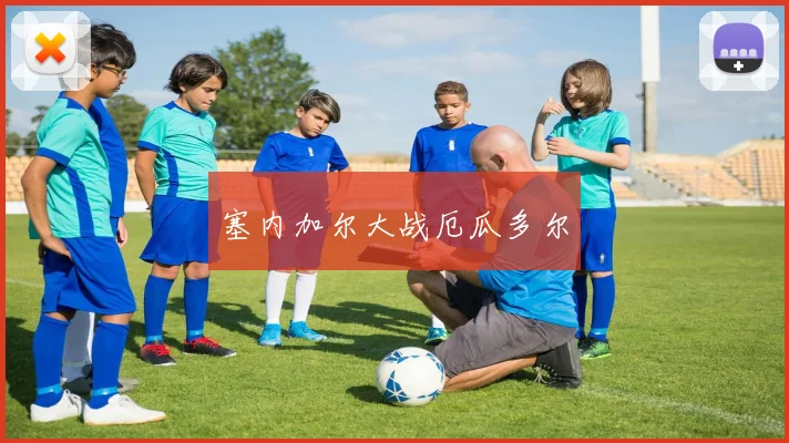 塞内加尔大战厄瓜多尔