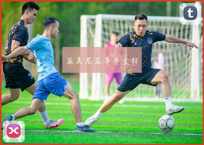 亚美尼亚争夺金杯