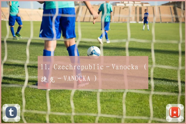 11. Czechrepublic - Vanocka （捷克 - VANOCKA ）