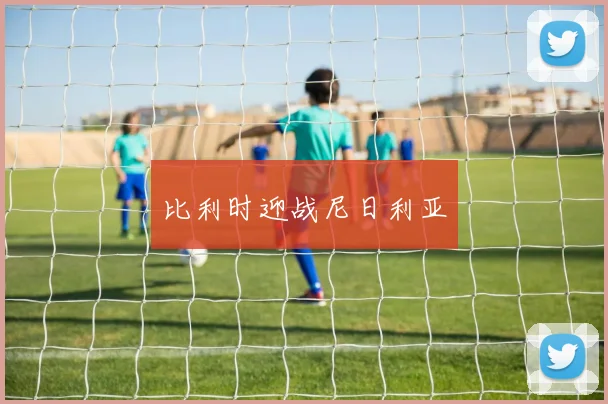比利时迎战尼日利亚