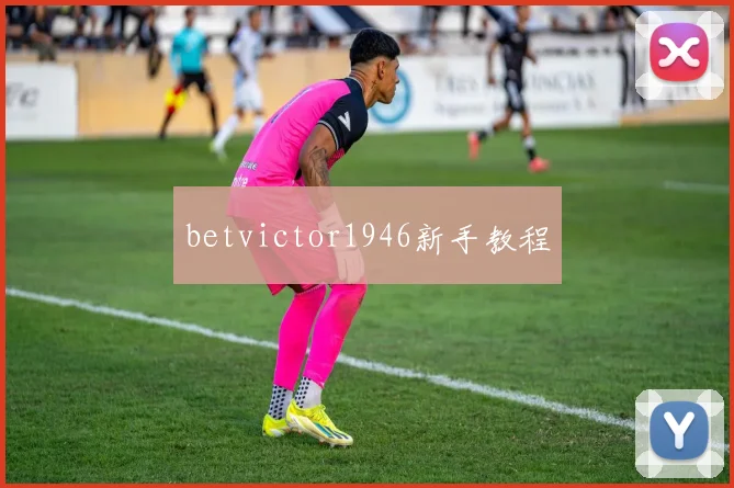 betvictor1946新手教程