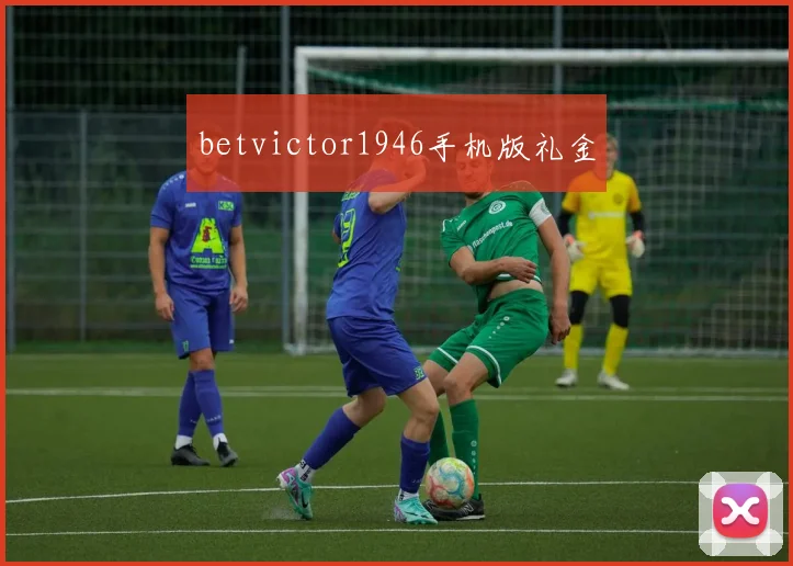 betvictor1946手机版礼金
