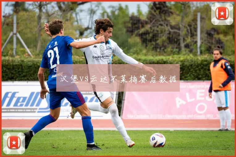 汉堡vs云达不莱梅赛后数据